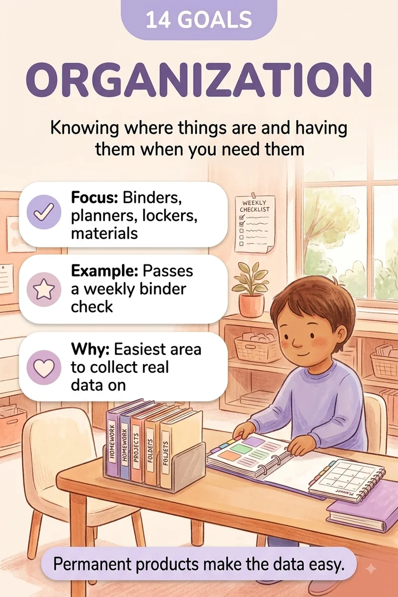 Organization